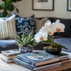 The Ultimate Guide to Choosing the Perfect Dinnerware Set